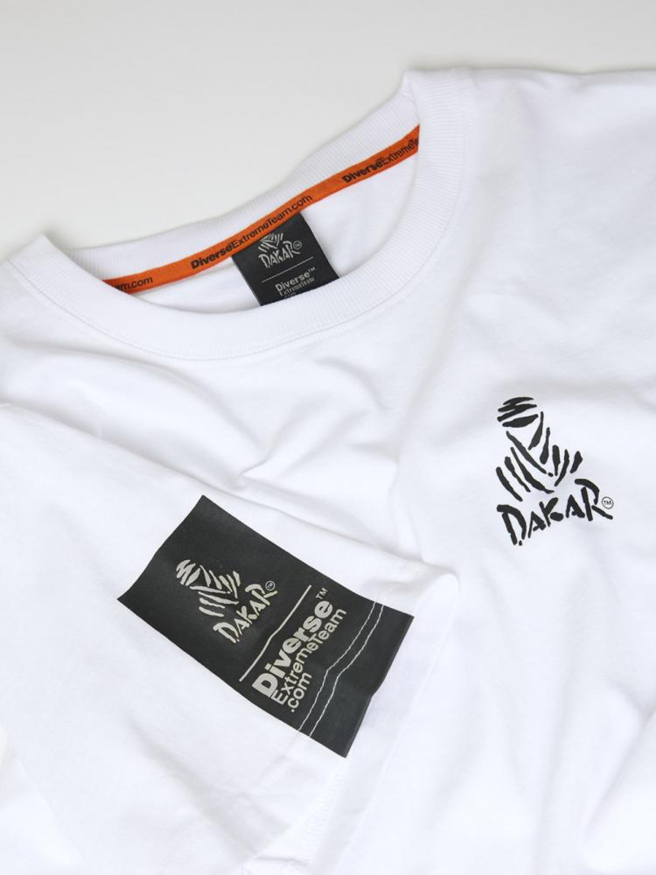 Футболки і поло DIVERSE Dkr Des 0724 модель 10045700 Футболки і поло DIVERSE Dkr Des 0724 модель 10045700 Фото