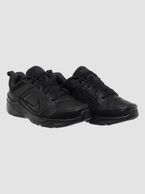 Кросівки NIKE Defy All Day модель DJ1196-001 Фото