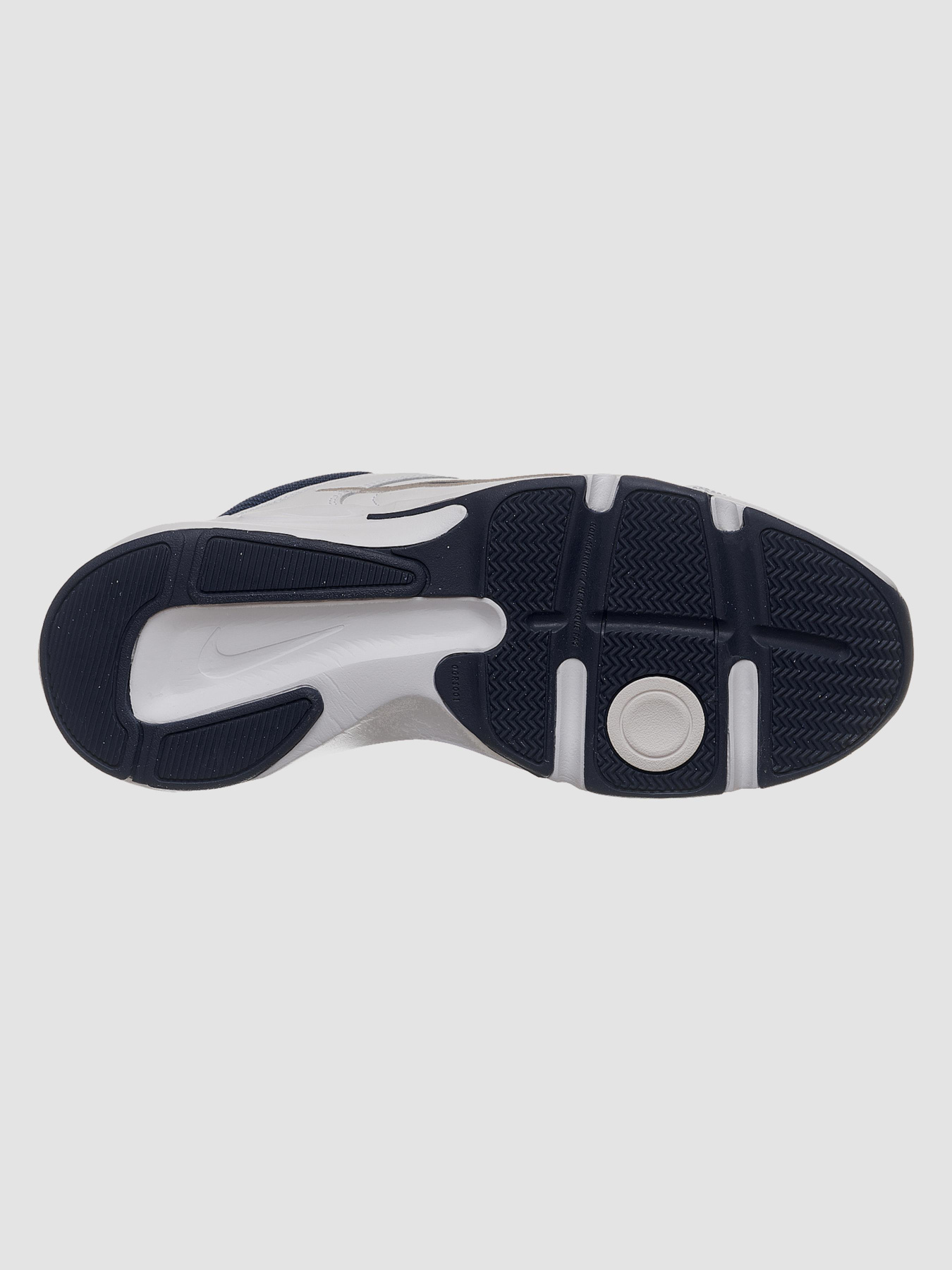 Кросівки NIKE Defy All Day модель DJ1196-100 Фото