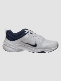 Кросівки NIKE Defy All Day модель DJ1196-100 Фото