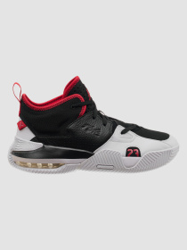 Кросівки Jordan Stay Loyal модель DQ8401-061 Фото