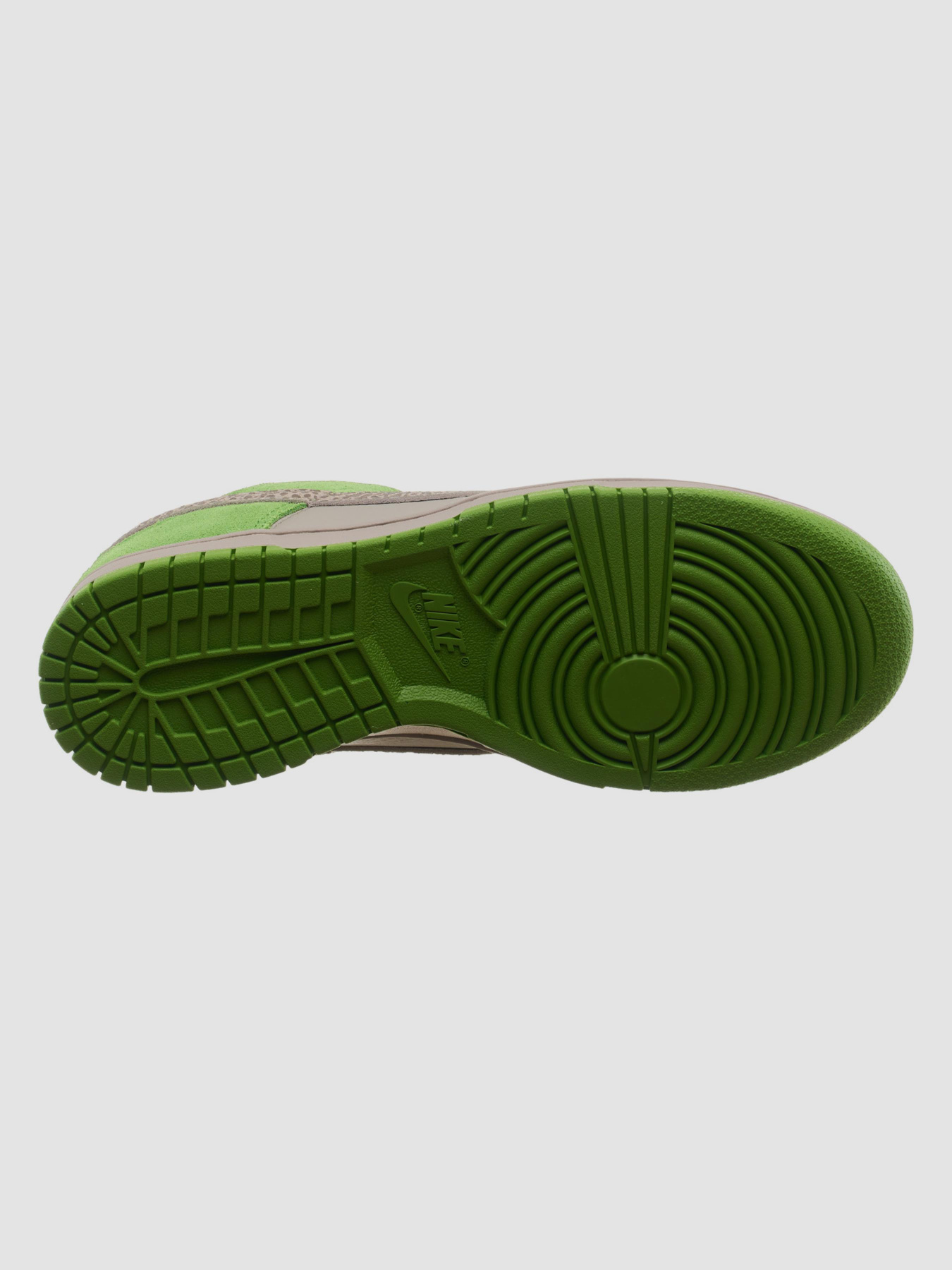 Кросівки NIKE Dunk модель DR0156-300 Фото
