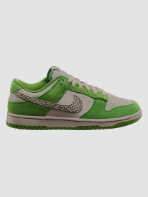 Кроссовки NIKE Dunk модель DR0156-300 Фото