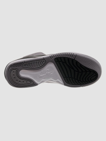 Кросівки Jordan Max Aura 5 модель DZ4353-007 Фото