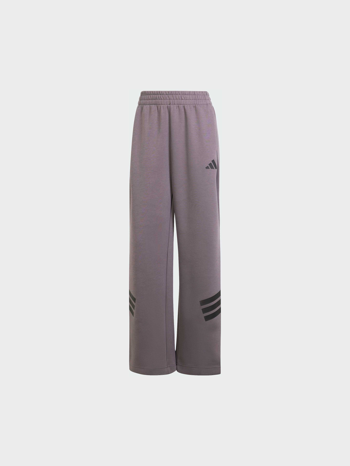 Штани Adidas 3 Stripes модель JE0154 Фото
