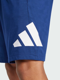 Шорты Adidas модель IS6910 Фото