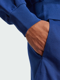 Шорты Adidas модель IS6910 Фото
