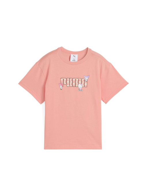 Футболки и поло PUMA x Hk&fr Graphic Tee модель 630062 Фото