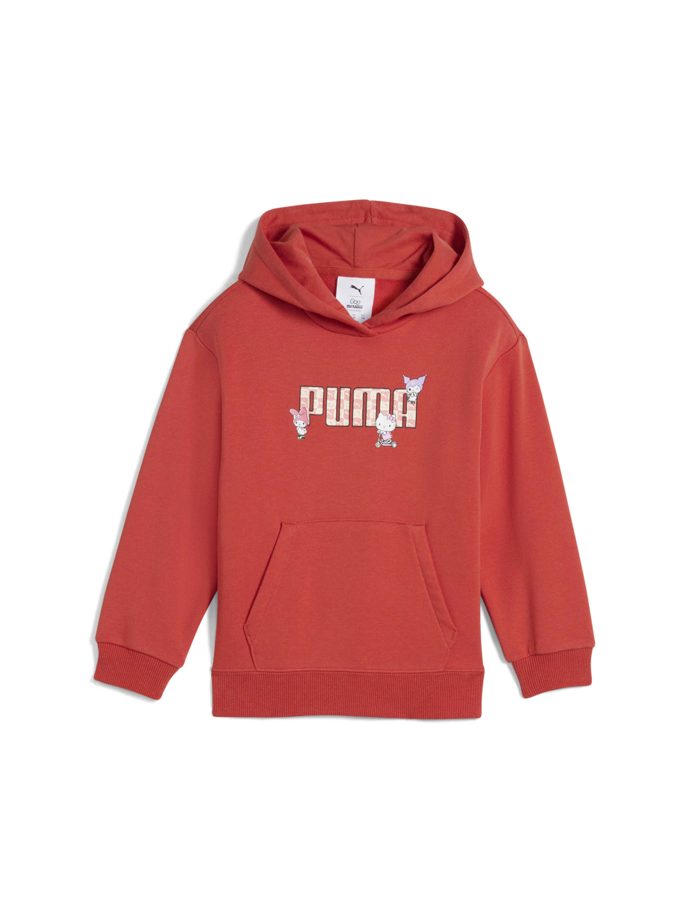 Худі та світшоти PUMA x Hk&fr Relaxed Hoodie модель 630063 Фото