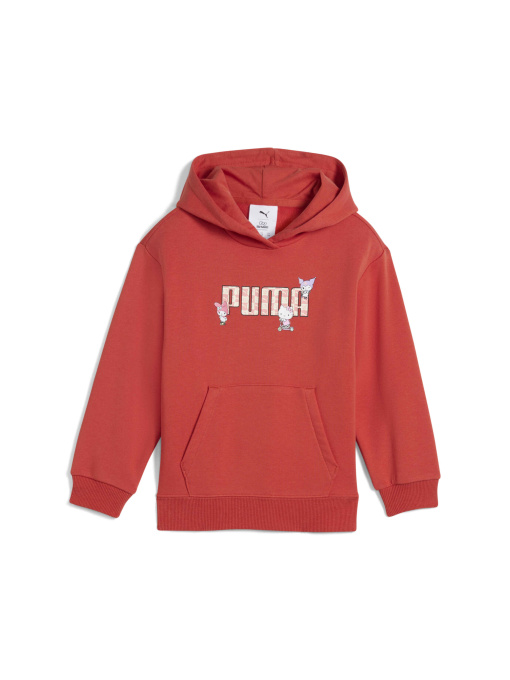 Худі та світшоти PUMA x Hk&fr Relaxed Hoodie модель 630063 Фото