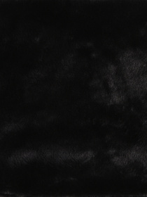 Шарфы и платки Colin’s модель CL1036848_Q1.V1_BLK Фото