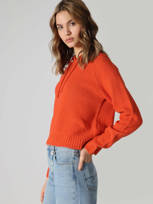 Худі та світшоти Colin’s модель CL1062436_Q1.V1_BOR Фото