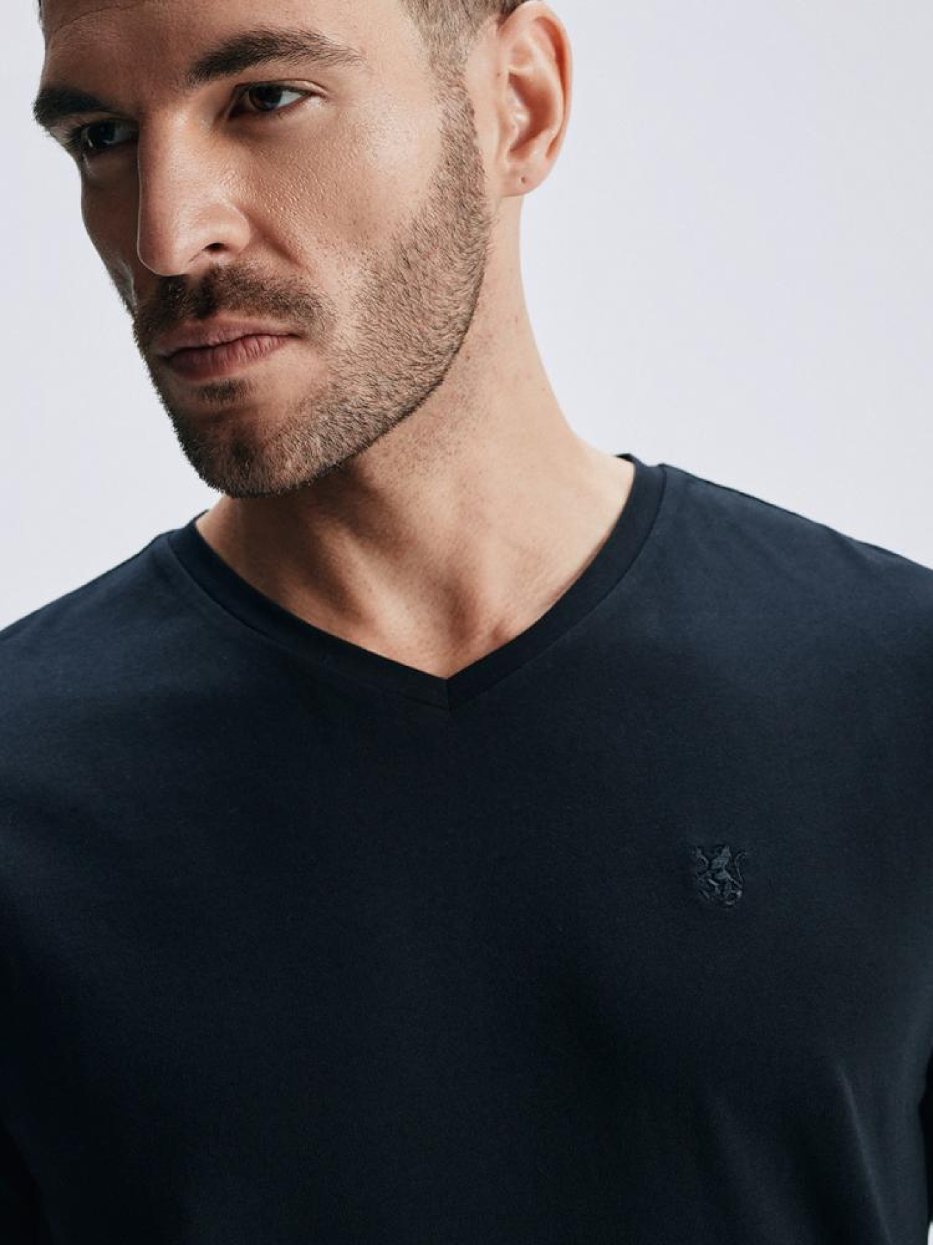 Футболки и поло DIVERSE V Neck 251 модель 10046178 Футболки и поло DIVERSE V Neck 251 модель 10046178 Фото