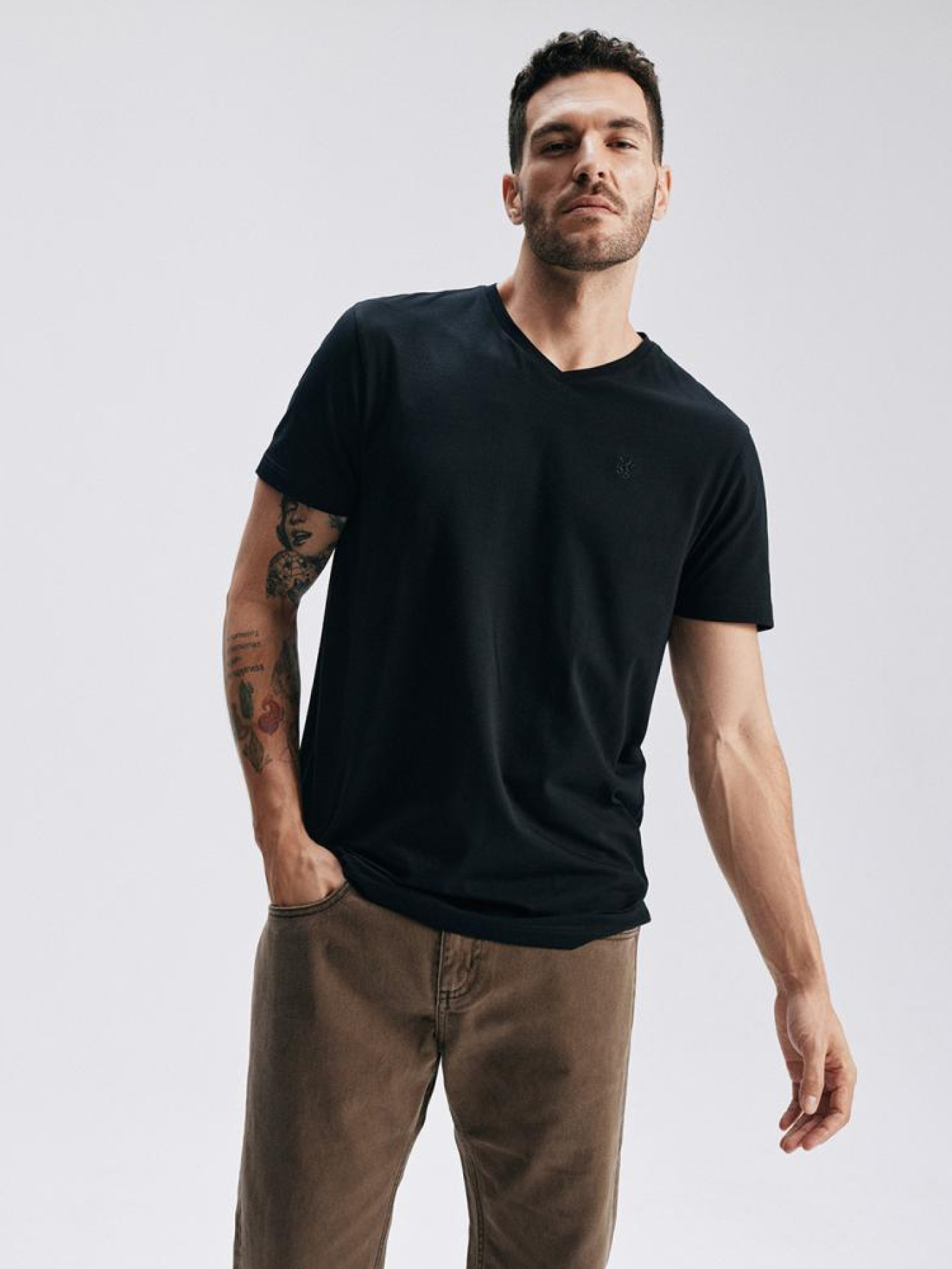 Футболки и поло DIVERSE V Neck 251 модель 10046178 Футболки и поло DIVERSE V Neck 251 модель 10046178 Фото