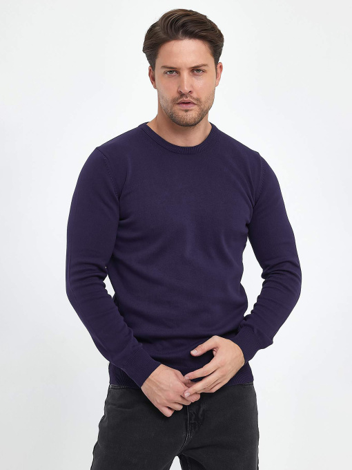Светри та кардигани Trend Collection модель TC9670VioletSVTRMN Фото