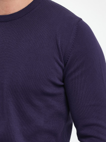 Свитры и кардиганы Trend Collection модель TC9670VioletSVTRMN Фото