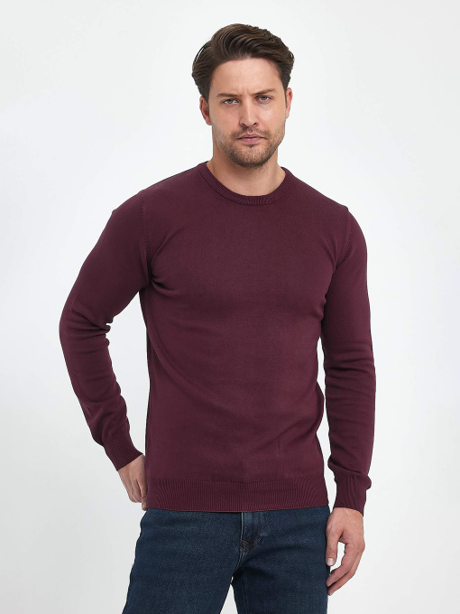 Светри та кардигани Trend Collection модель TC9669PlumSVTRMN Фото