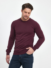 Свитры и кардиганы Trend Collection модель TC9669PlumSVTRMN Фото