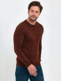Свитры и кардиганы Trend Collection модель TC9612DarkBrownSVTRMN Фото