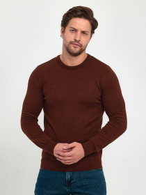Свитры и кардиганы Trend Collection модель TC9612DarkBrownSVTRMN Фото