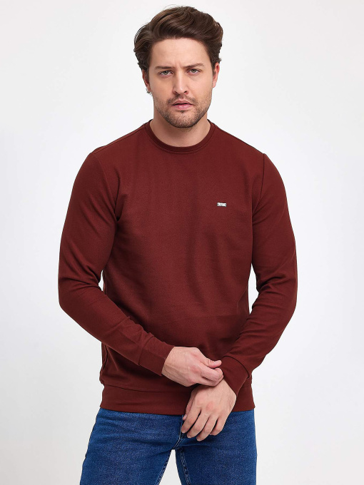 Худи и свитшоты Trend Collection модель TC9547BrownSVTRMN Фото
