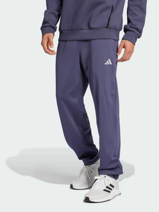 Брюки Adidas модель IW8416 Фото