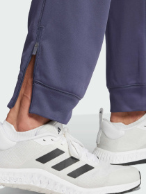Брюки Adidas модель IW8416 Фото