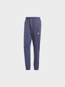 Брюки Adidas модель IW8416 Фото