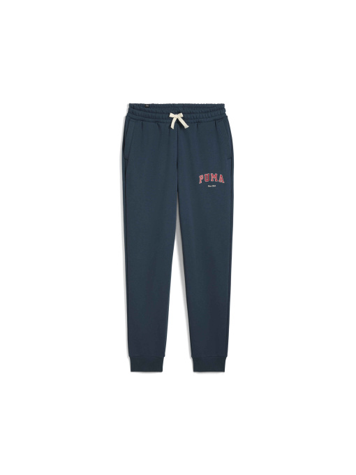 Штани PUMA Varsity Sweatpants Fl M модель 679335 Фото