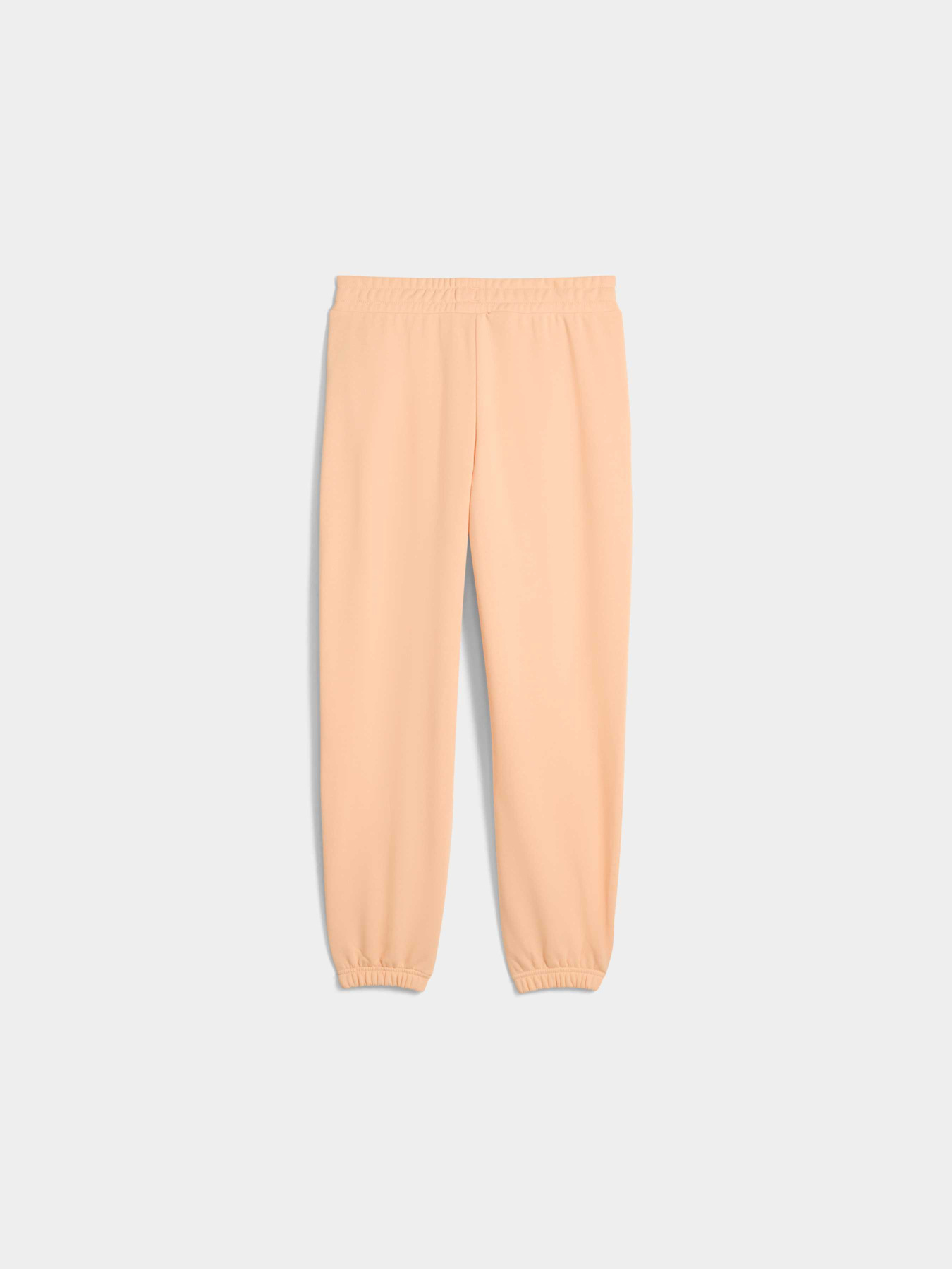 Брюки PUMA Elevated Ess Sweatpants Tr модель 688650 Фото