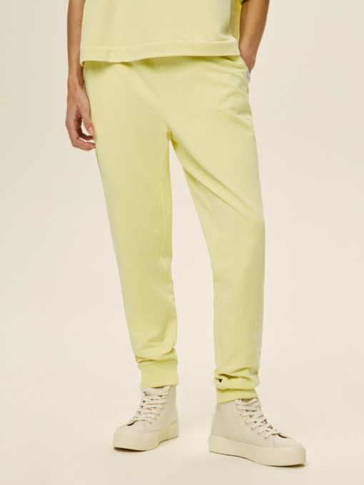Штани DIVERSE Divjog модель 10044004 Фото