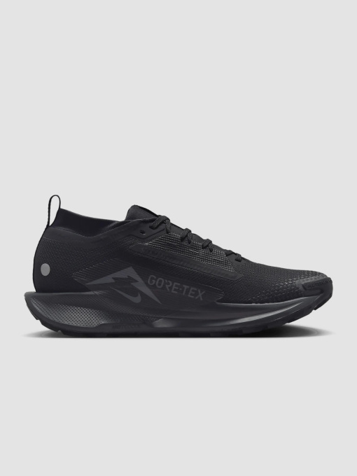Кросівки NIKE Pegasus Trail 5 модель FQ0908-002 Фото
