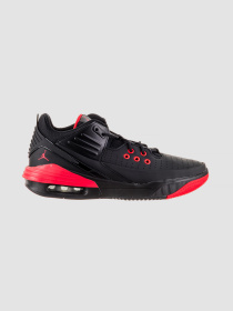 Кроссовки Jordan Max Aura 5 модель DZ4353-006 Фото