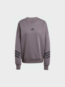 Худі та світшоти Adidas 3 Stripes модель JE0214 Фото