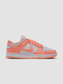 Кроссовки NIKE Dunk Low Next Nature модель DD1873-109 Фото