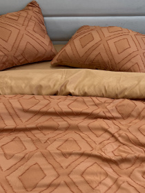 Комплект постільної білизни Jaquard Orange by Ecotton Ecotton модель 24560 Фото