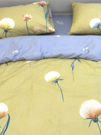 Комплект постельного белья с Одуванчиками горчичный Ecotton модель 23751-21211 Фото