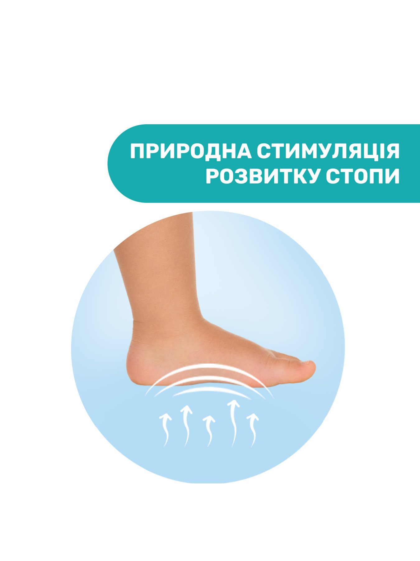 Кросівки Chicco модель 010.73031.300 Фото