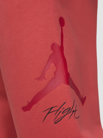 Штани Jordan Essentials модель FD7345-604 Фото