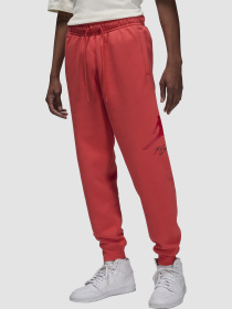 Брюки Jordan Essentials модель FD7345-604 Фото