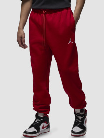 Брюки Jordan Brooklyn Fleece модель FV7277-687 Фото