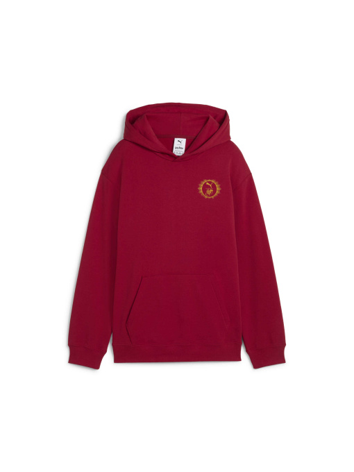 Худі та світшоти PUMA x Harry Potter Hoodie модель 630078 Фото