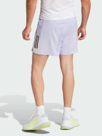 Шорты Adidas модель JP0824 Фото