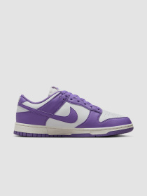 Кроссовки NIKE Dunk Low Next Nature модель DD1873-108 Фото