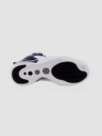 Кросівки Jordan Jumpman Pro модель DN3686-110 Фото