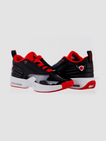 Кросівки Jordan Max Aura 6 модель FQ8298-006 Фото