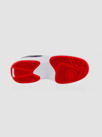 Кросівки Jordan Max Aura 6 модель FQ8298-006 Фото