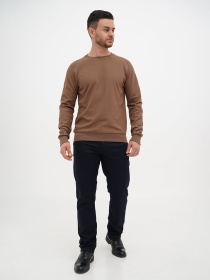 Худи и свитшоты Trend Collection модель TC12730BrownSVTSHT Фото