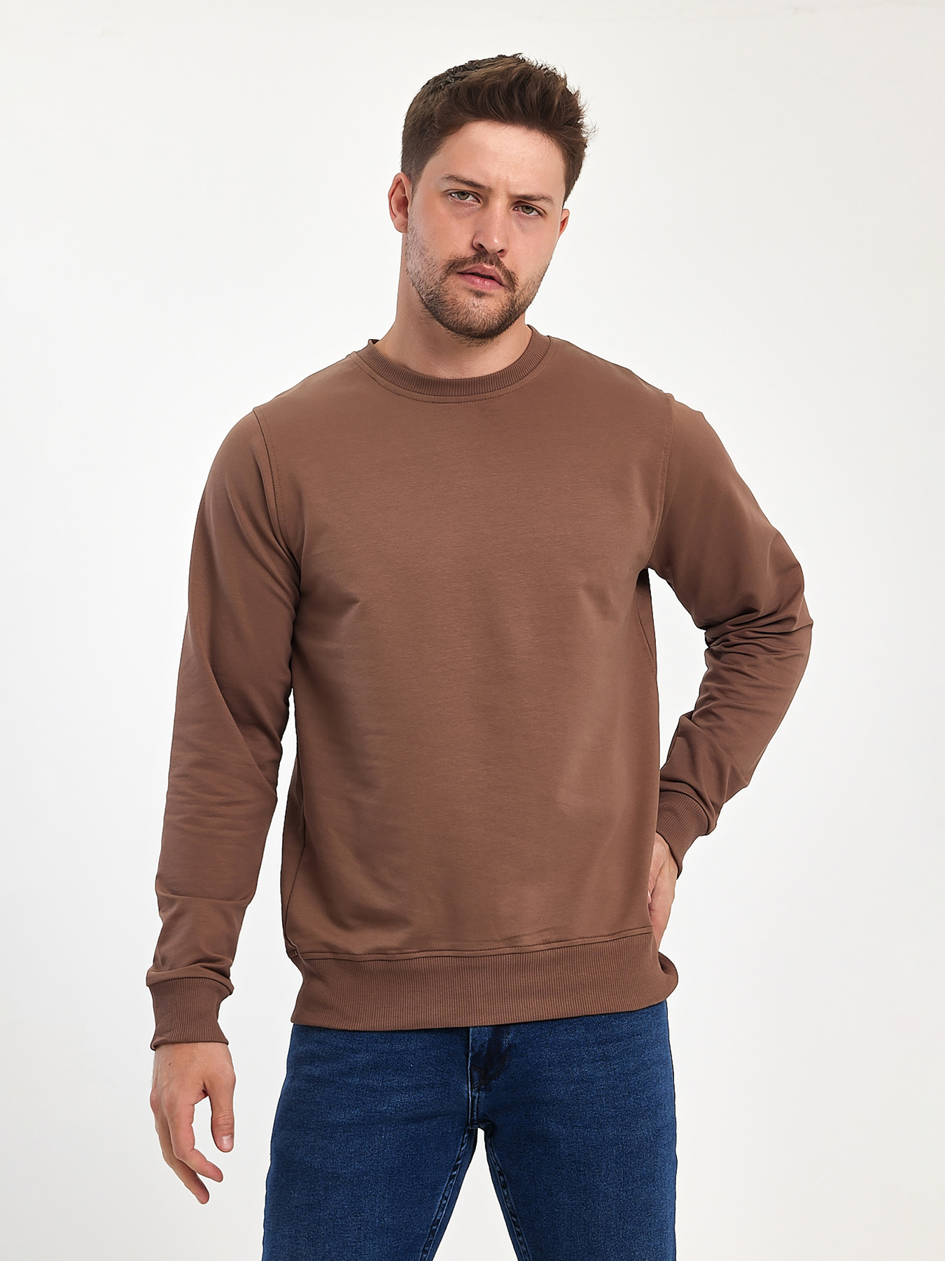 Худі та світшоти Trend Collection модель TC11179BrownSVTSHT Фото