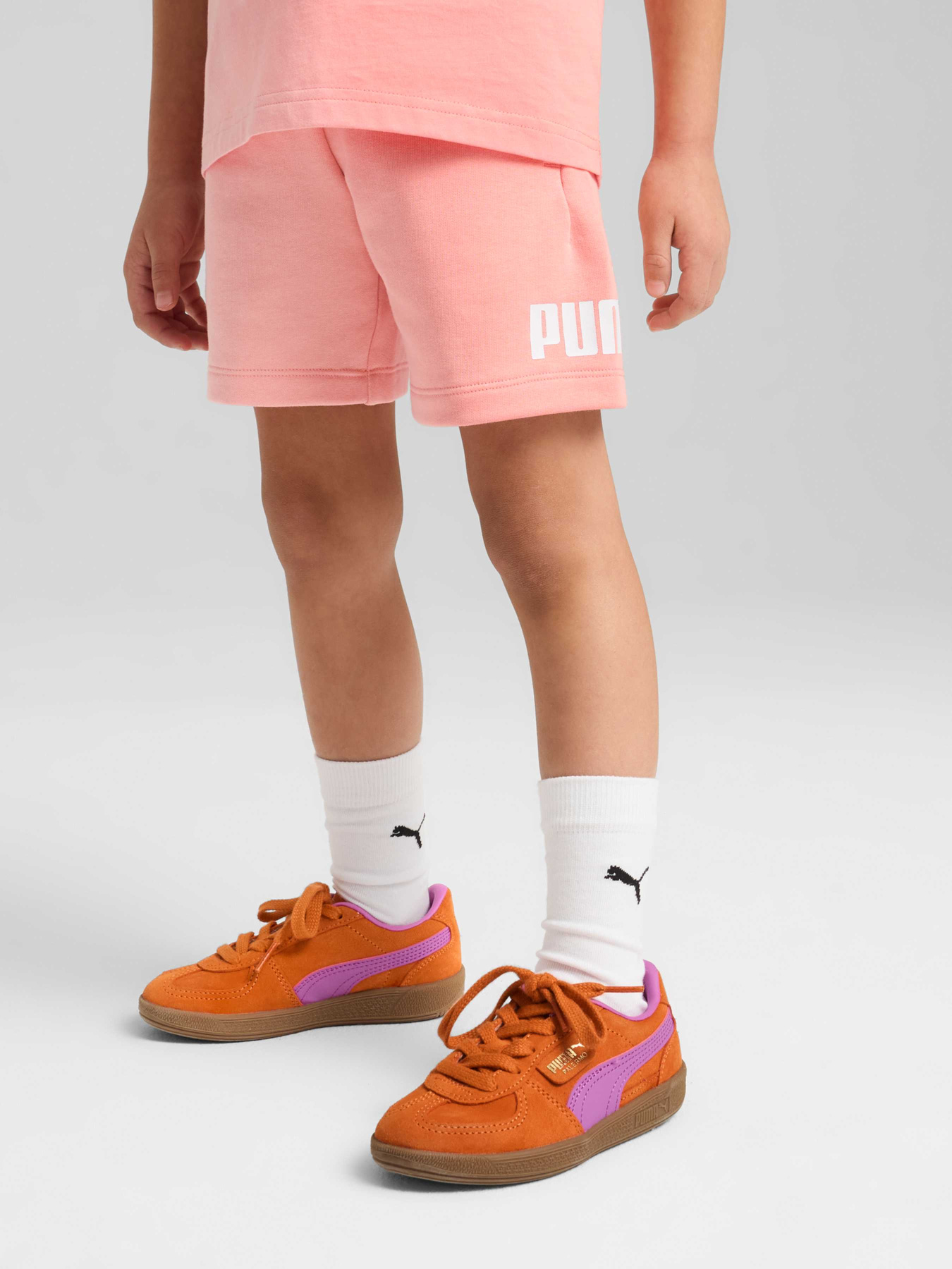 Шорты PUMA Ess No. 1 Logo Shorts модель 684935 Фото